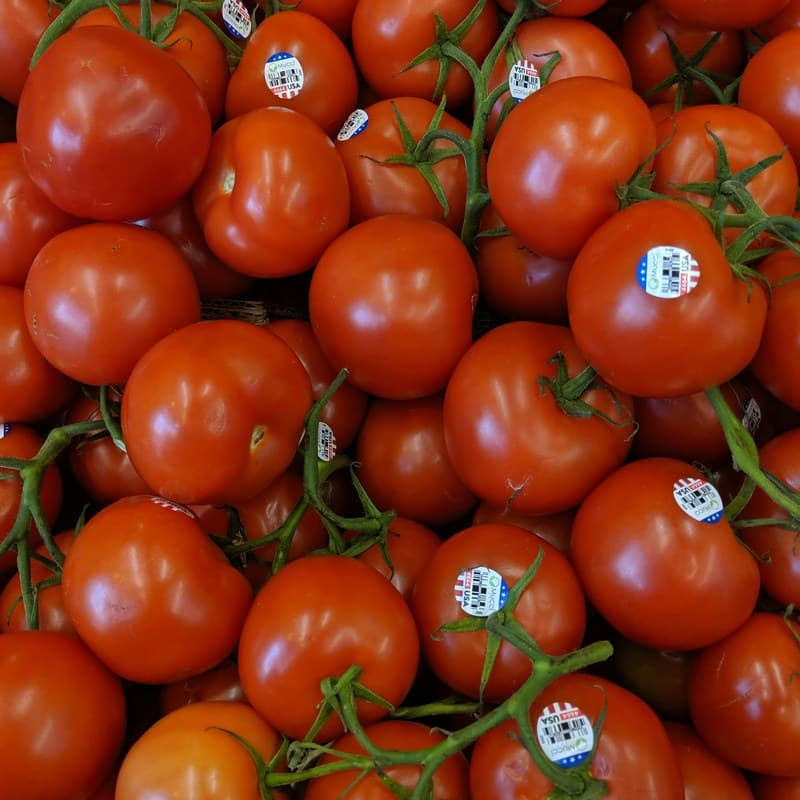 Fresh red tomatoes