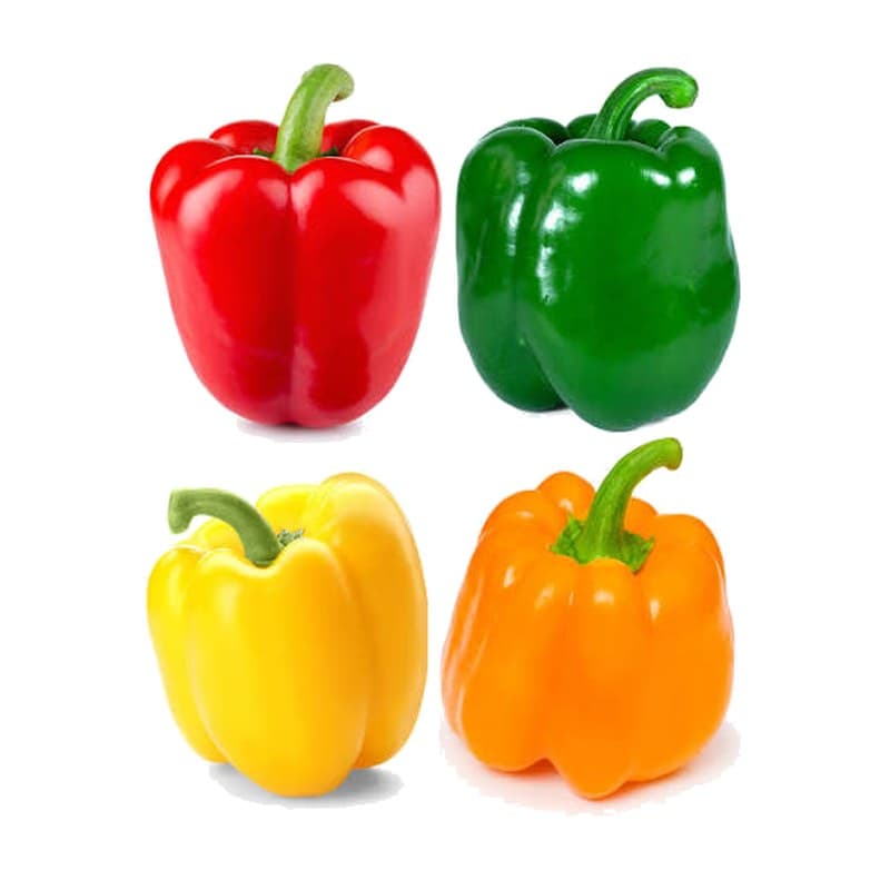 Sweet Bell Pepper
