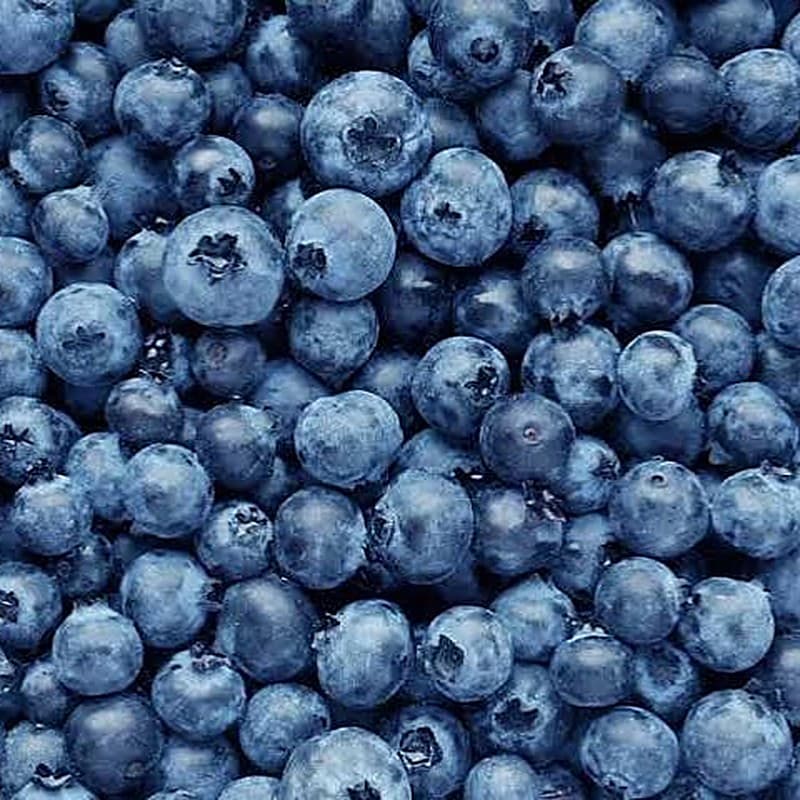 Fresh Blueberries