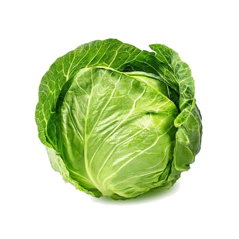 Fresh Cabbage