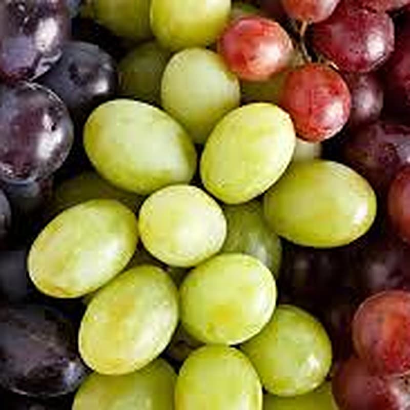 Fresh Grapes