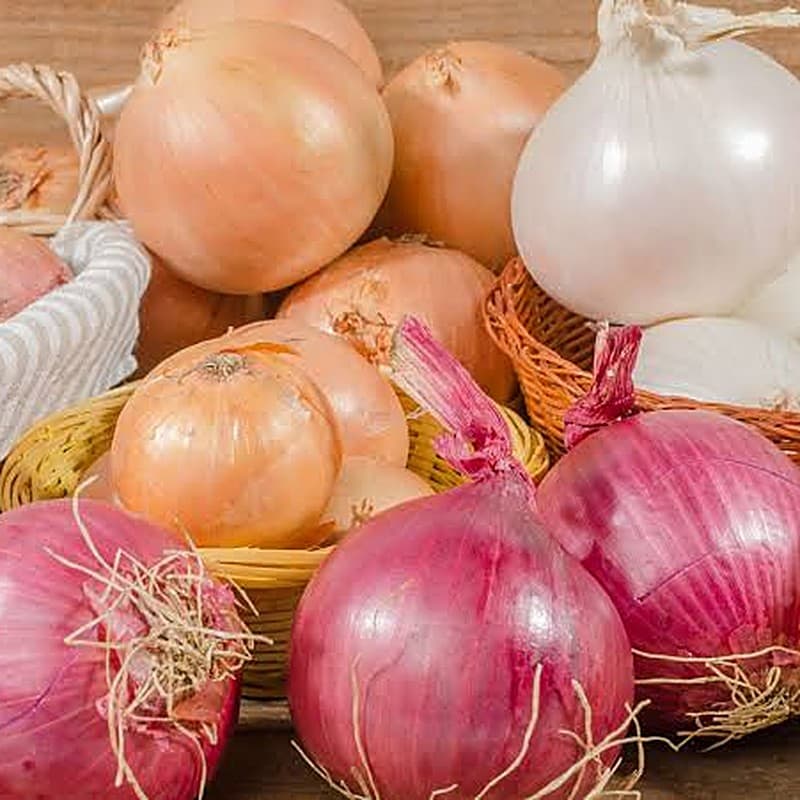 Fresh Onions